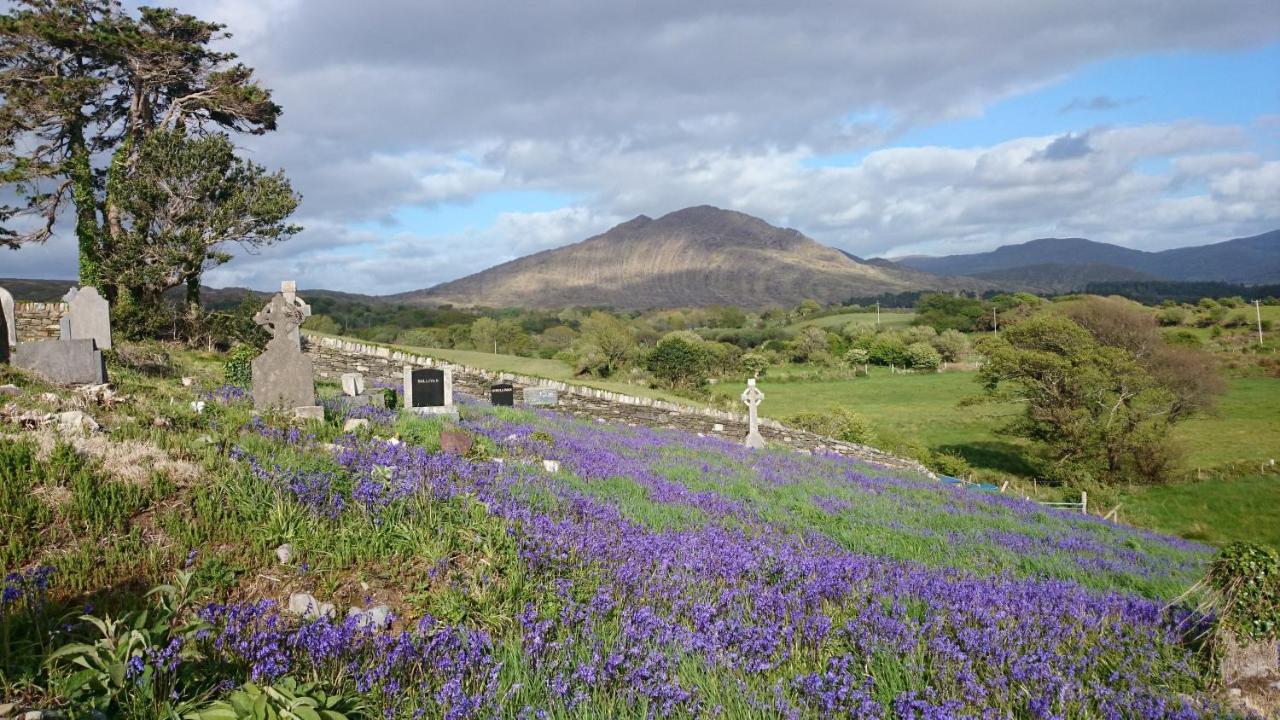 Kenmare Eco Lodge Εξωτερικό φωτογραφία