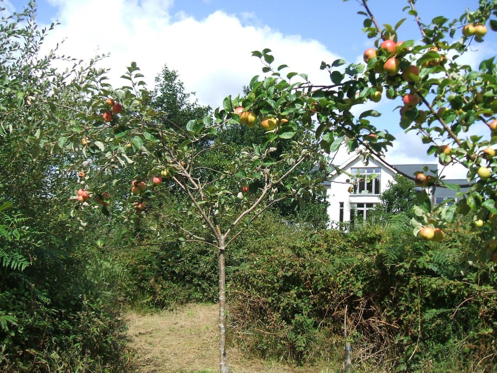 Kenmare Eco Lodge Εξωτερικό φωτογραφία