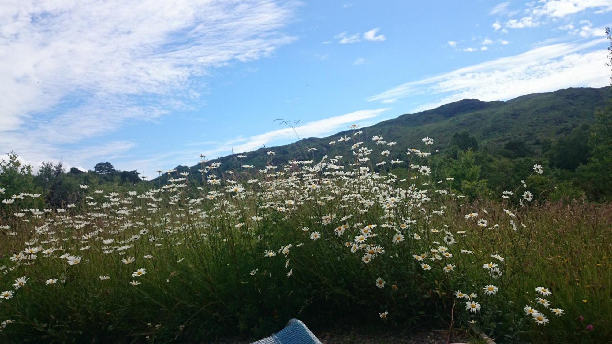 Kenmare Eco Lodge Εξωτερικό φωτογραφία