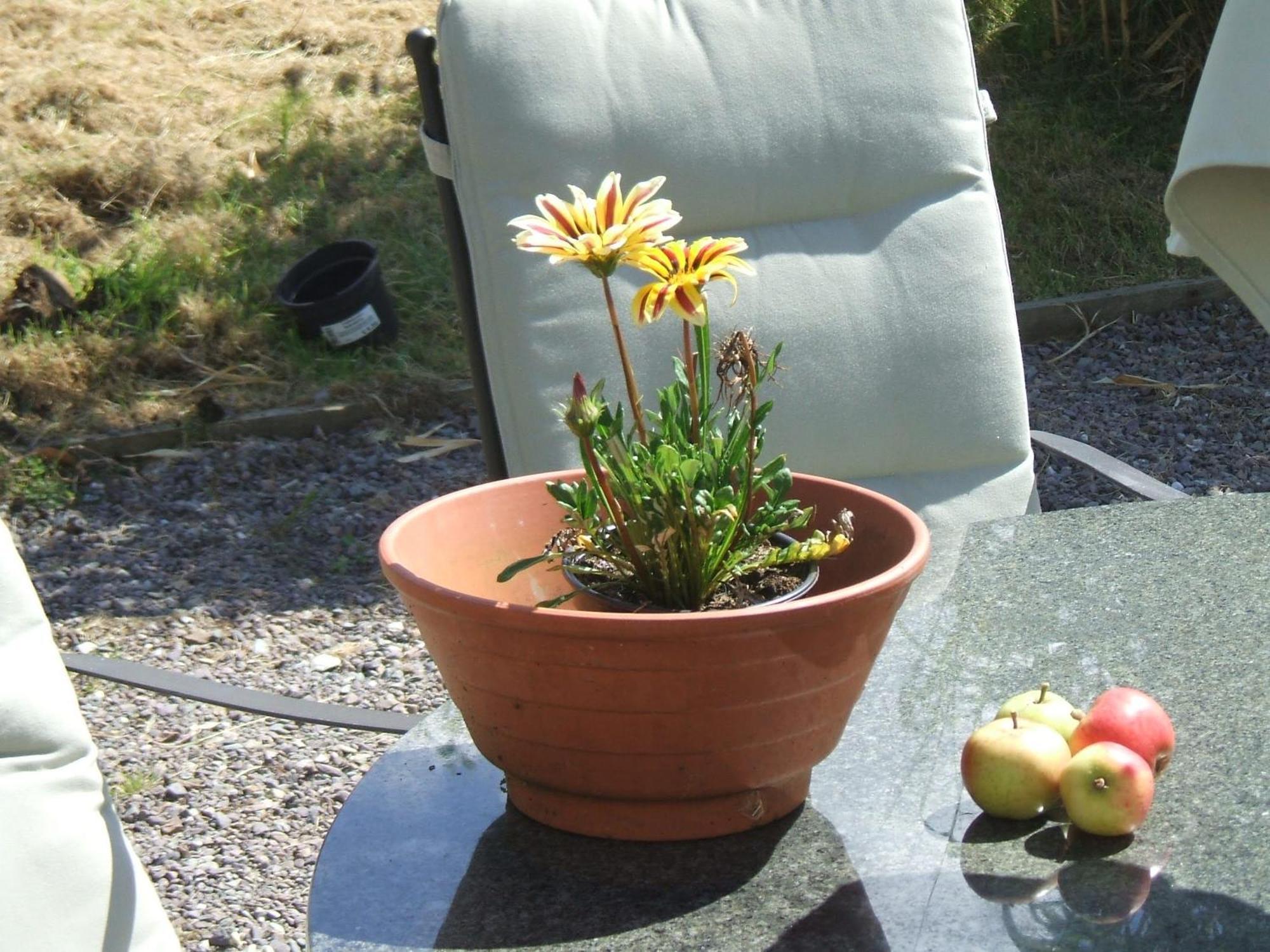 Kenmare Eco Lodge Εξωτερικό φωτογραφία
