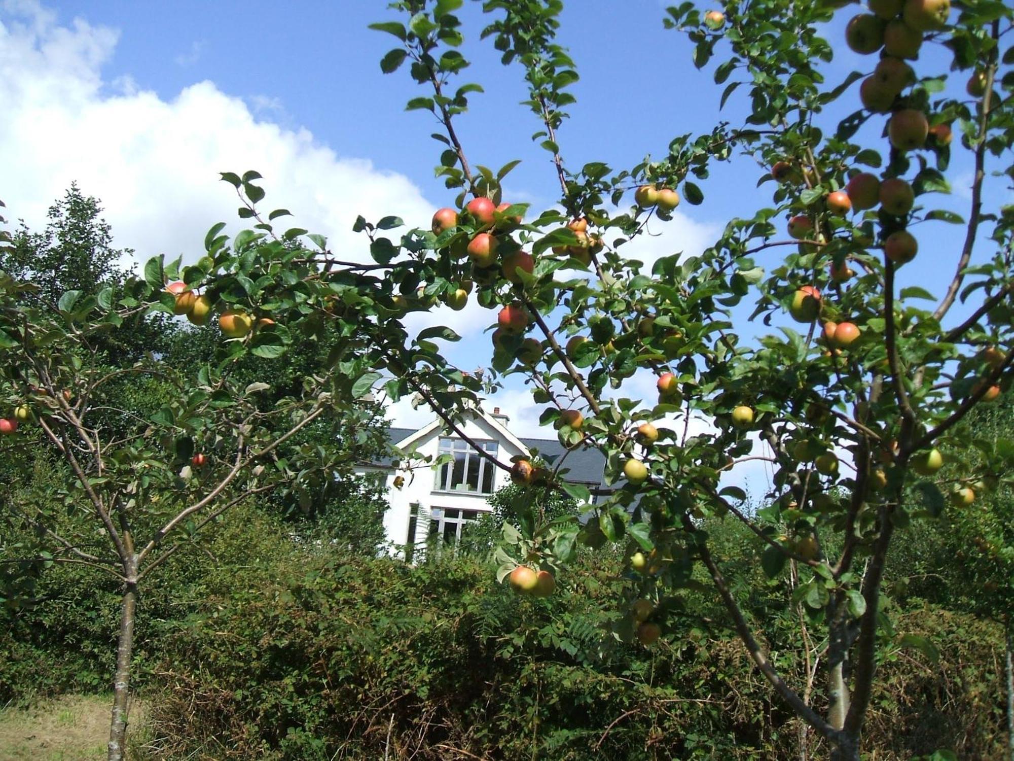 Kenmare Eco Lodge Εξωτερικό φωτογραφία